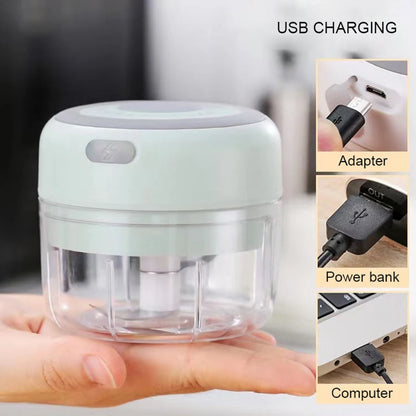 Mini Electric Garlic Grinder Chili Vegetable Chopper 100/250ML Wireless Portable Mixer Machine Crusher Kitchen Blender